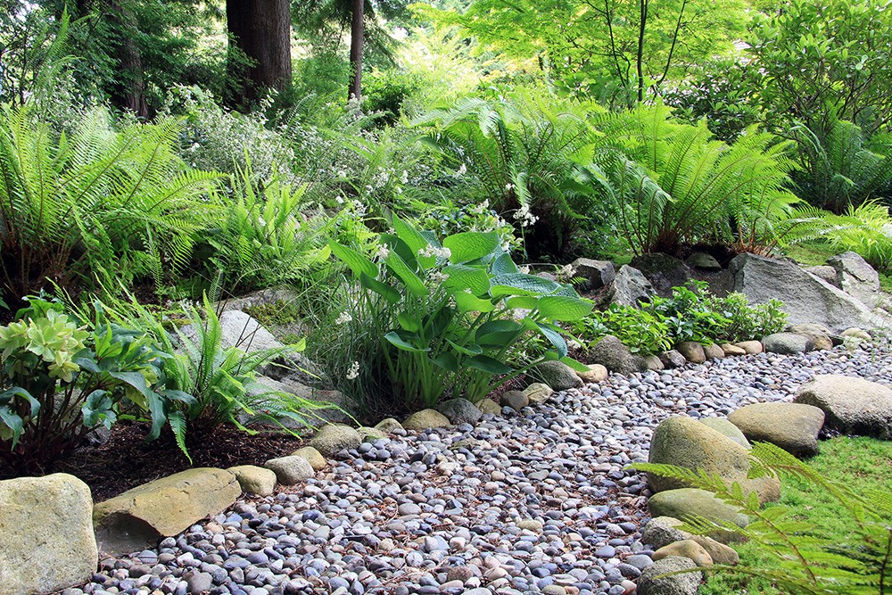 Easy Ideas for Landscaping with Rocks