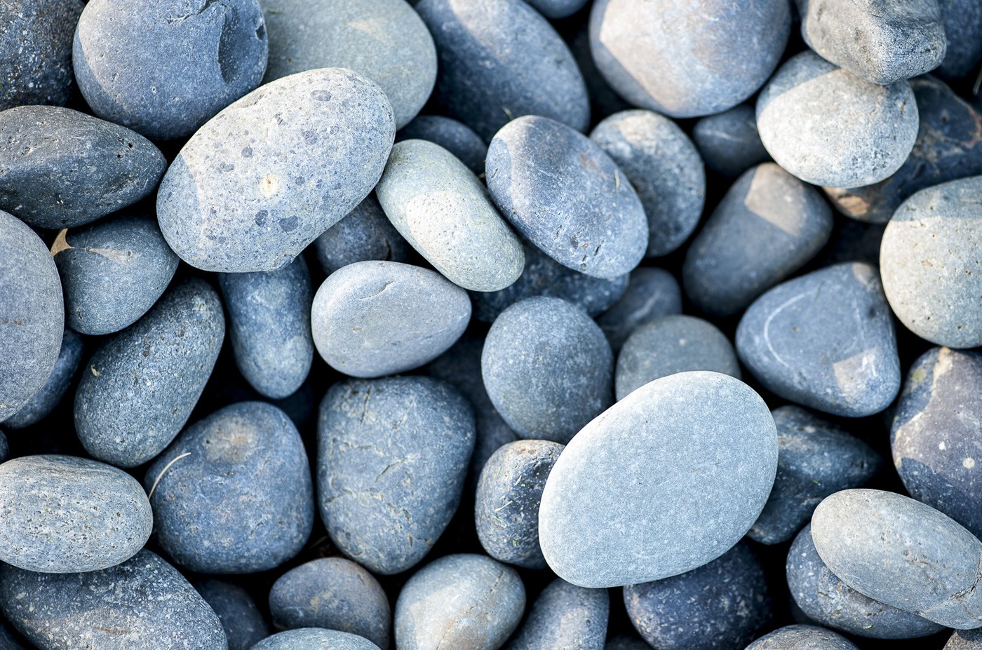 grey and blue Mexican Beach Pebbles